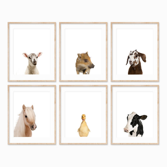 Animal Photography - 6 Set Farm - Pompom Prints