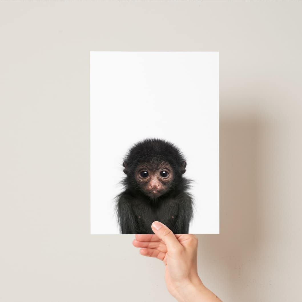 Animal Photography - 6 Set Safari - Pompom Prints