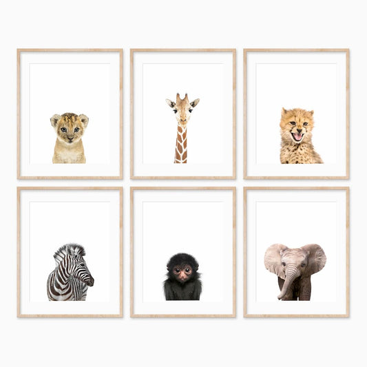 Animal Photography - 6 Set Safari - Pompom Prints