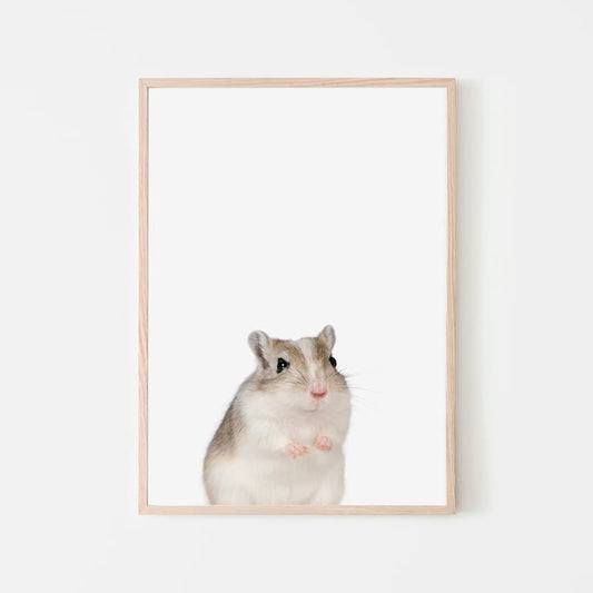 Animal Photography - Gerbil - Pompom Prints