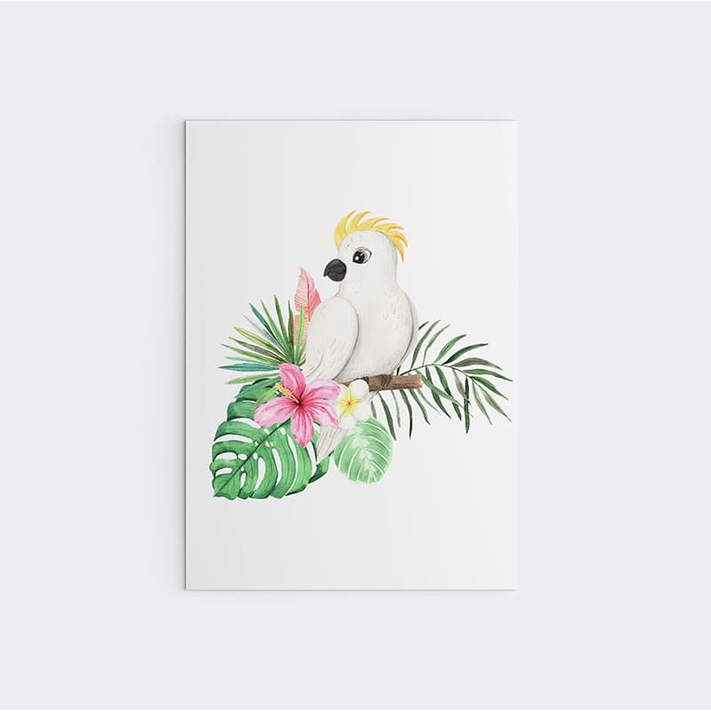 Animal Safari Babies - Parrot - Pompom Prints
