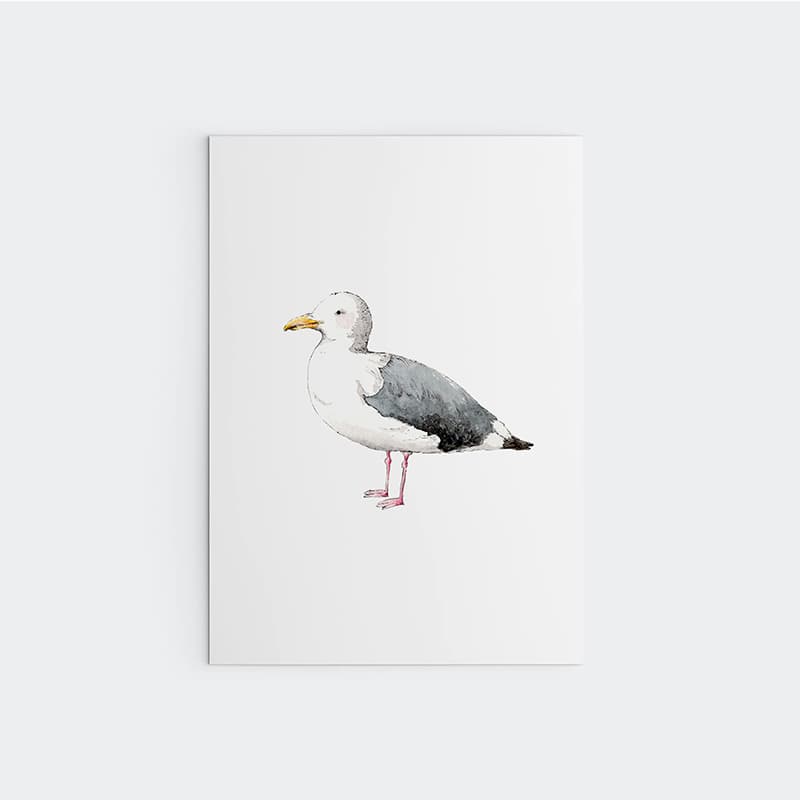 Nautical - Seagul - Pompom Prints