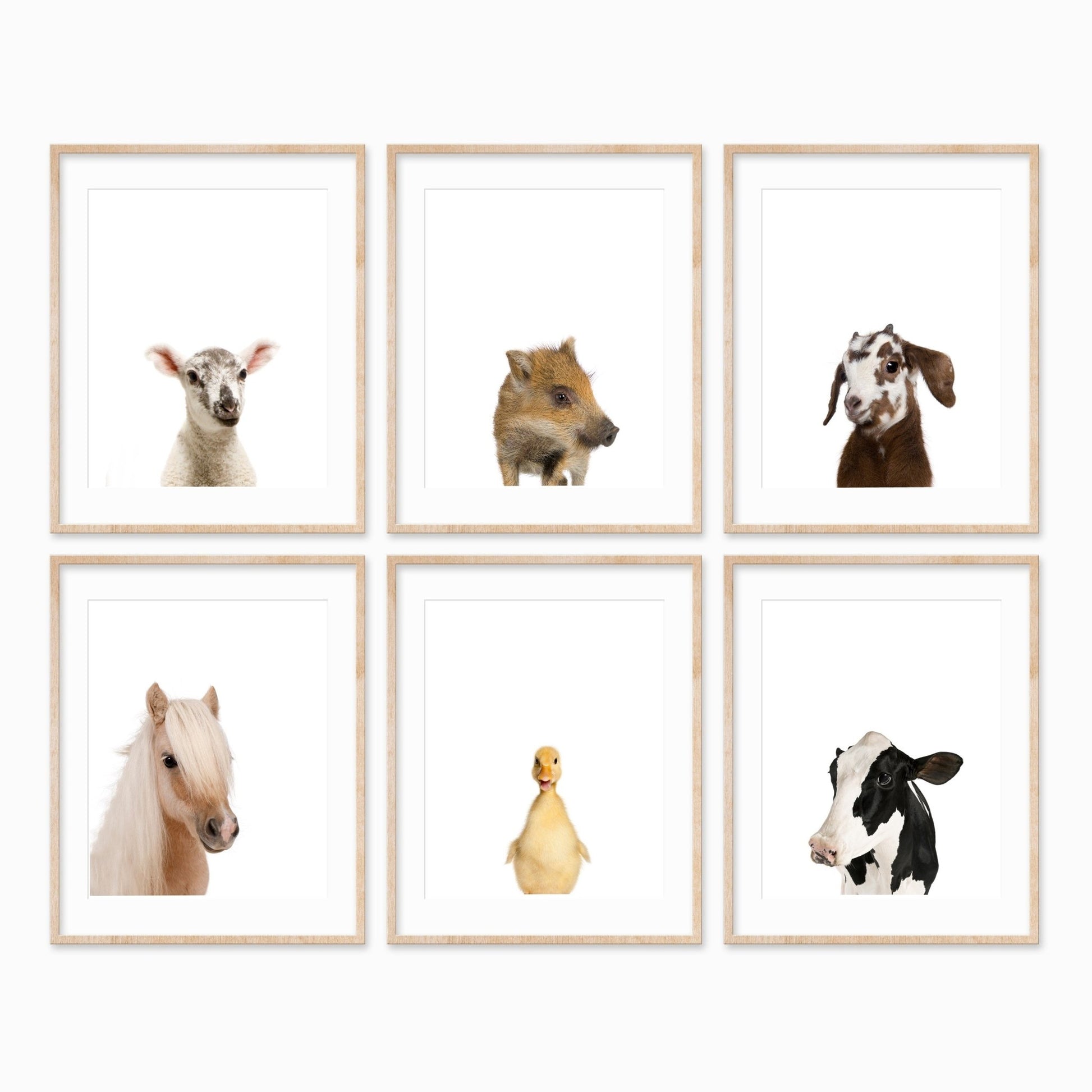 Animal Photography - 6 Set Farm - Pompom Prints