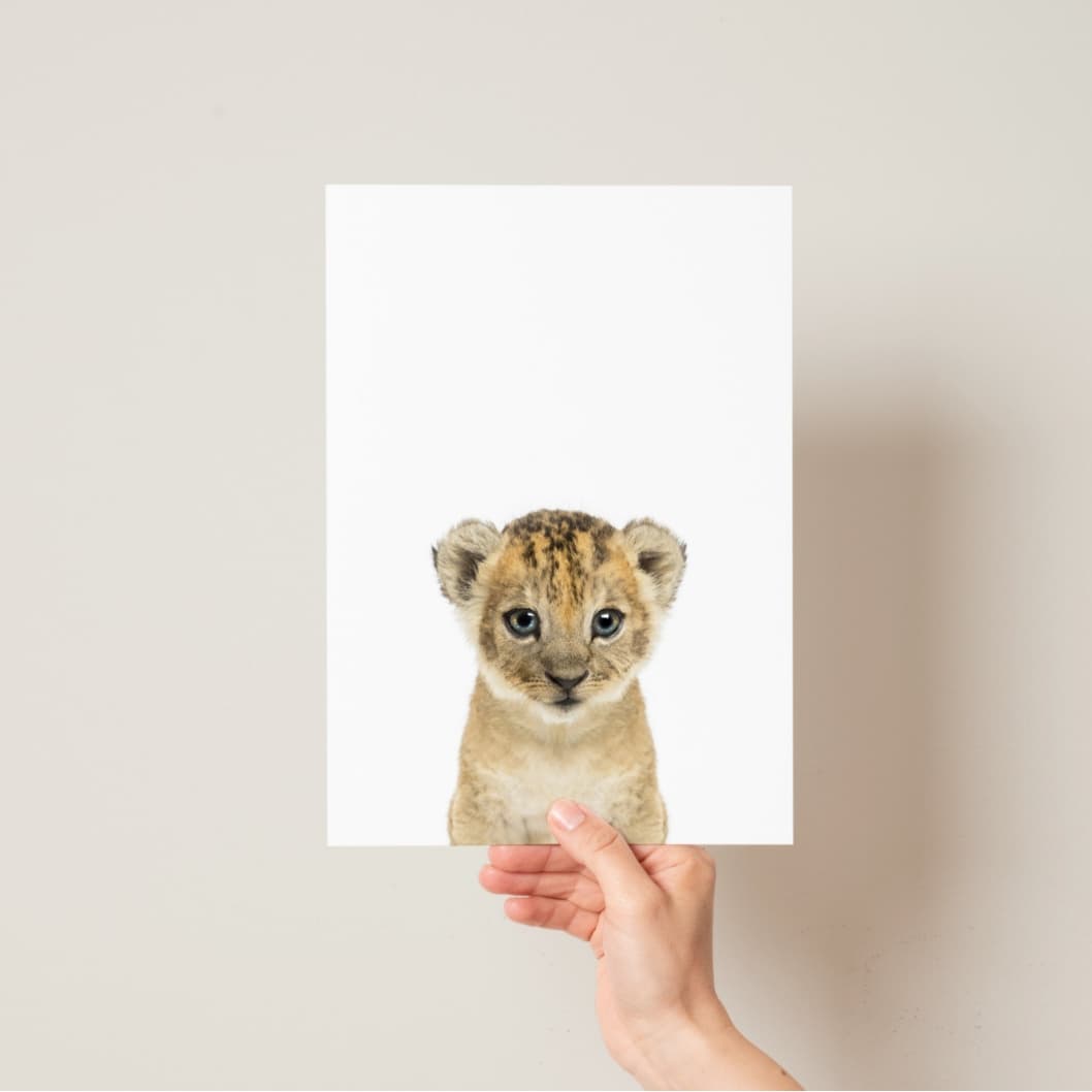 Animal Photography - 6 Set Safari - Pompom Prints