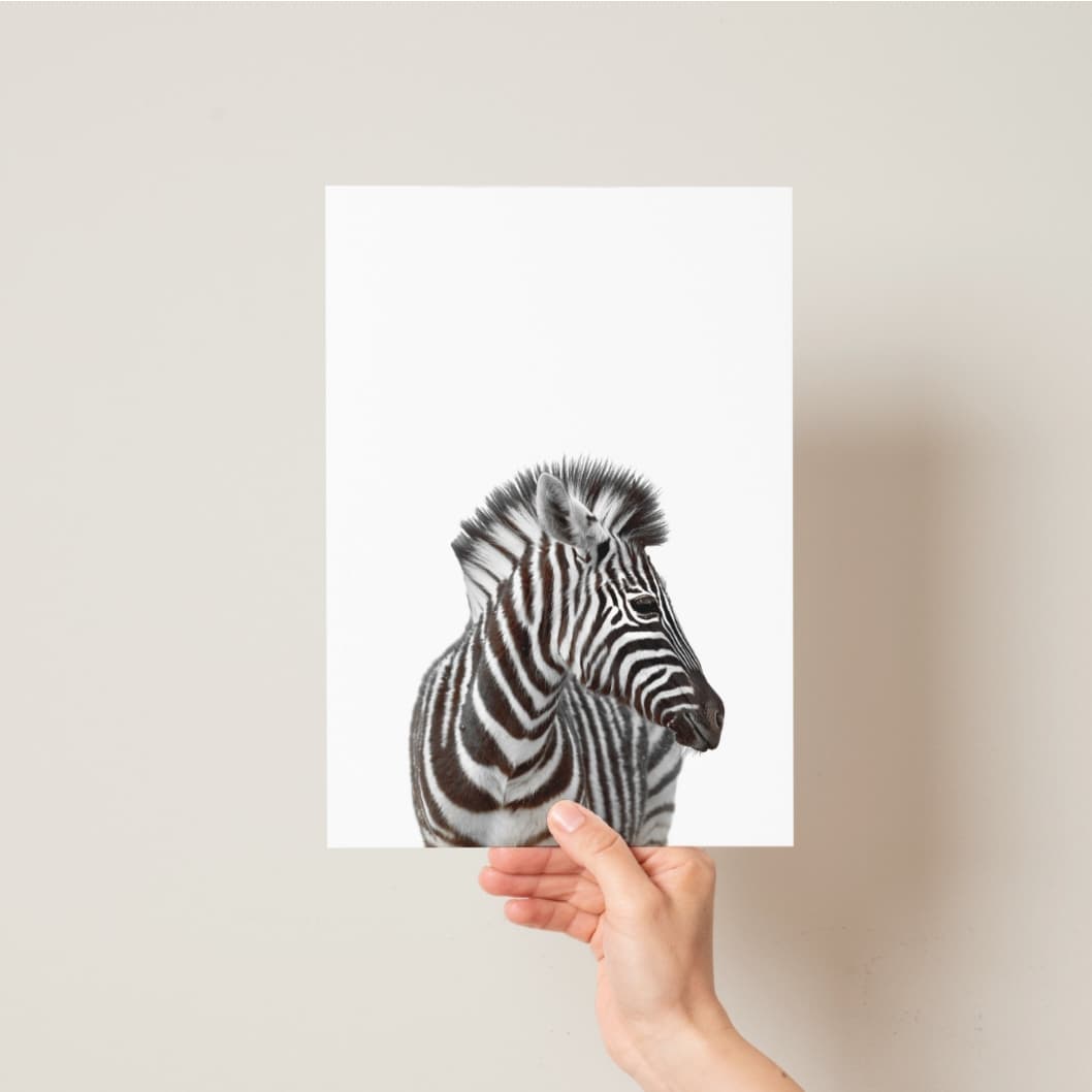 Animal Photography - 6 Set Safari - Pompom Prints