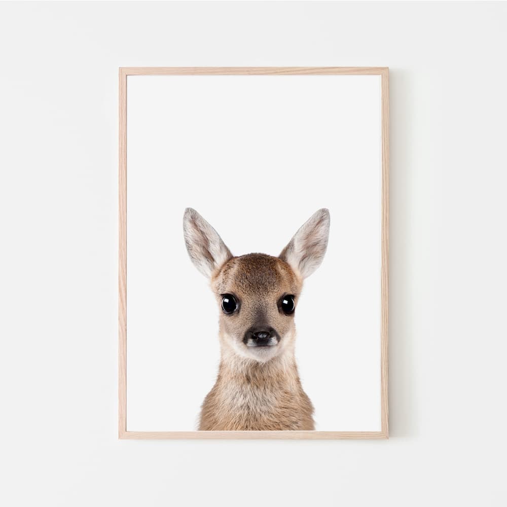 Animal Photography - Deer - Pompom Prints