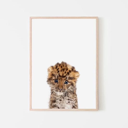 Animal Photography - Leopard - Pompom Prints