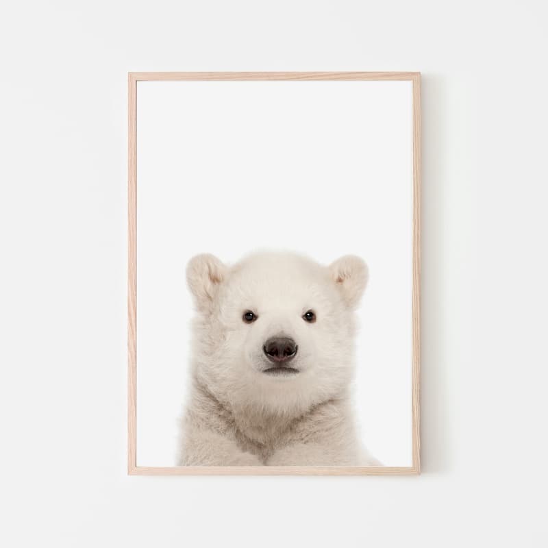 Animal Photography - Polar Bear - Pompom Prints