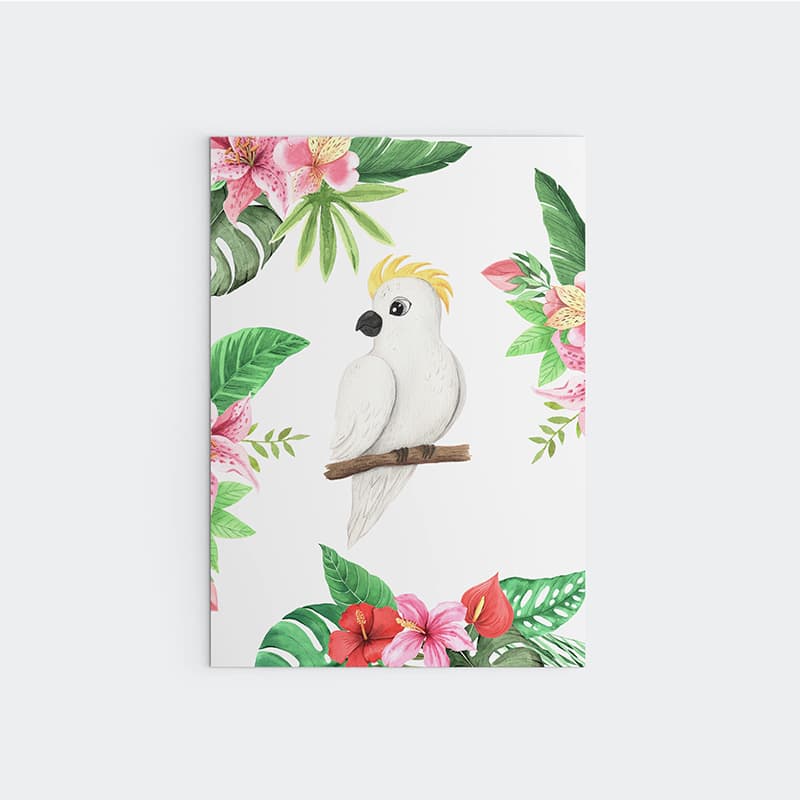 Animal Safari Babies - Parrot - Pompom Prints