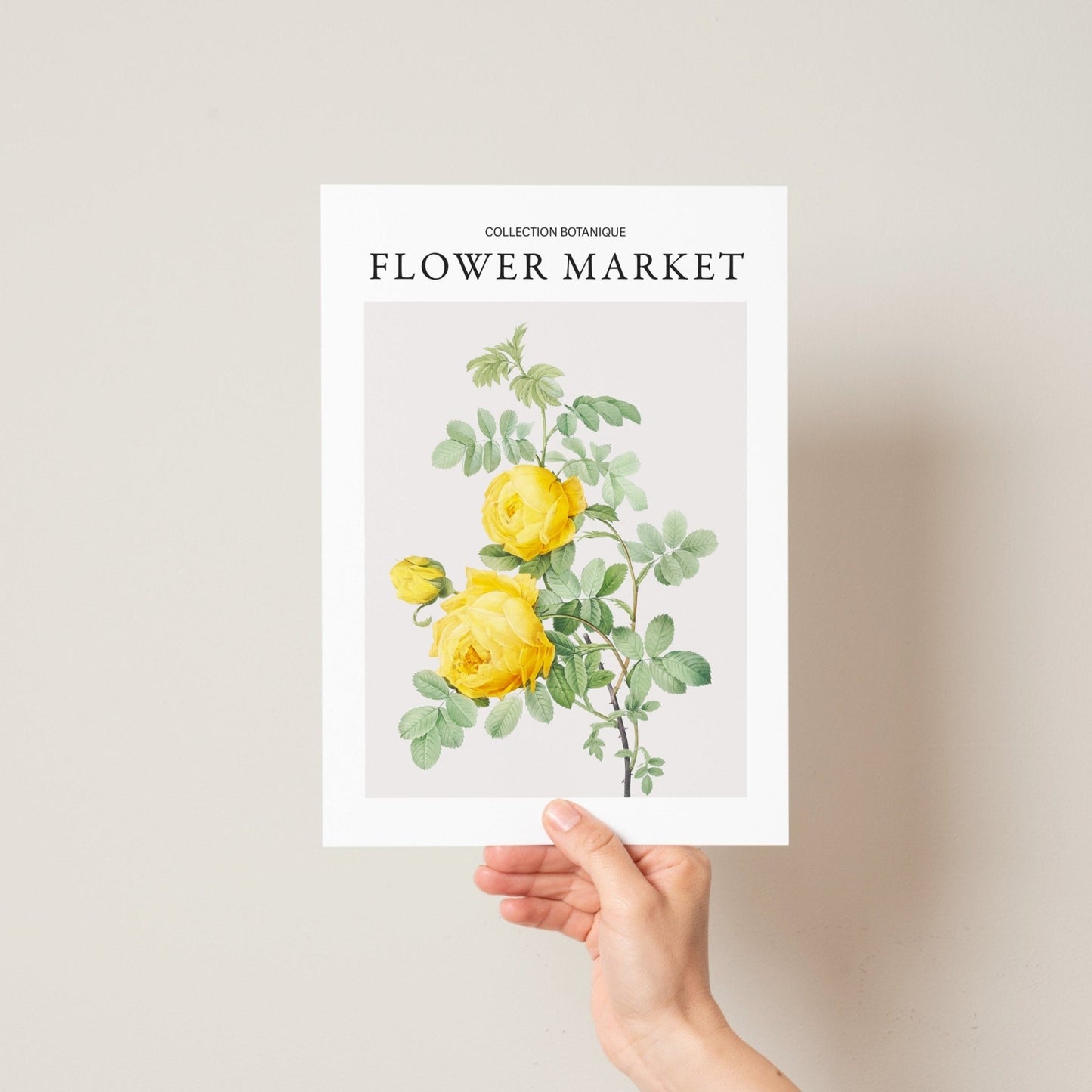 Flower Market - 3 set - Pompom Prints