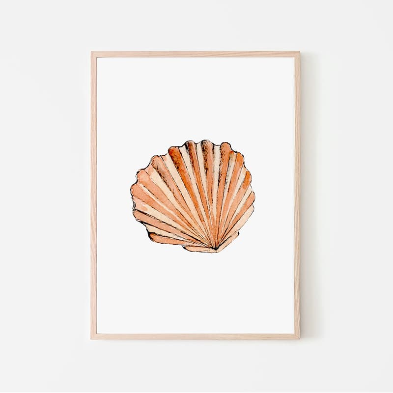 Nautical - Clam Shell - Pompom Prints