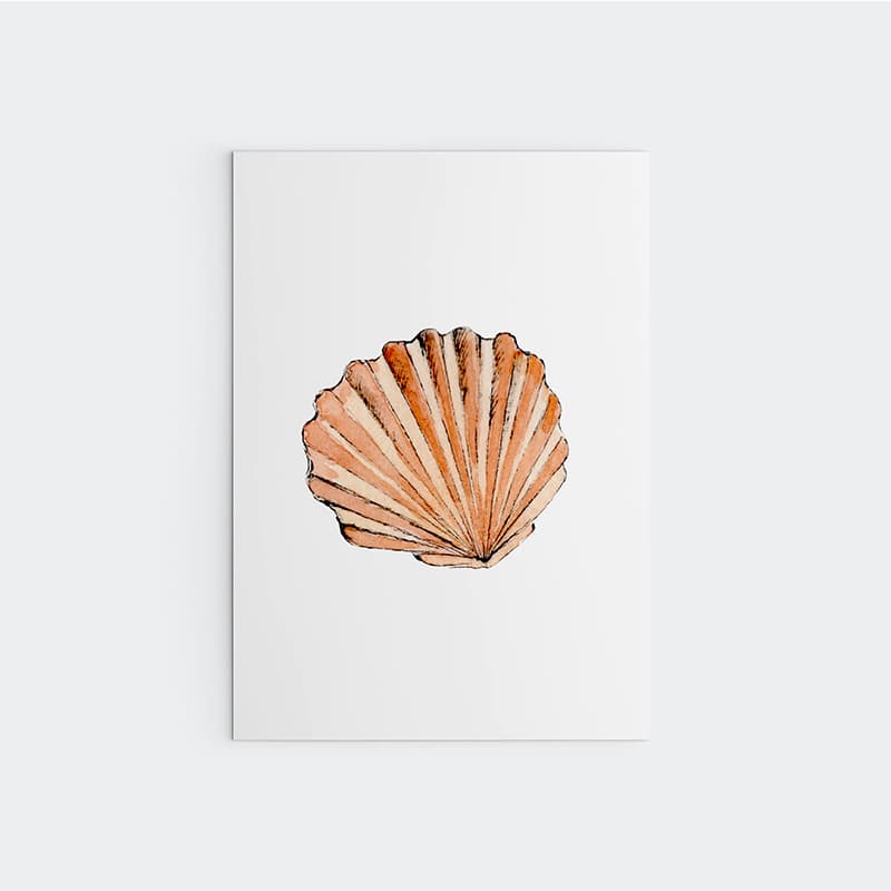 Nautical - Clam Shell - Pompom Prints